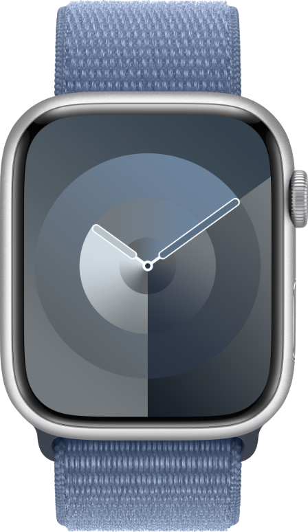 Apple Watch Series 9 45mm 