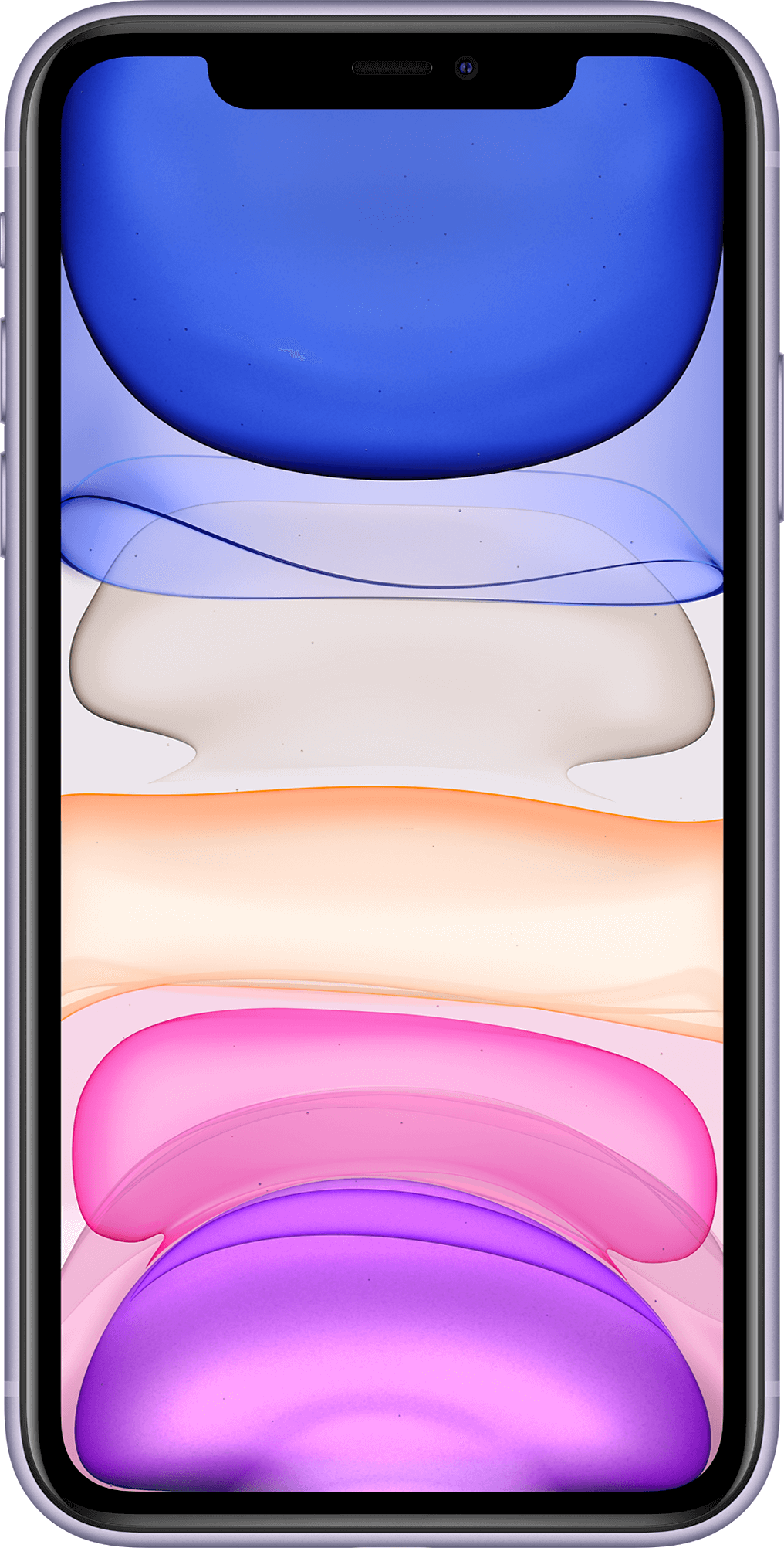 Actual size image of  iPhone 11 .