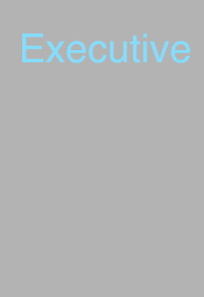  Executive Paper  के वास्तविक आकार छवि.