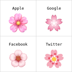 Cherry blossom emoji